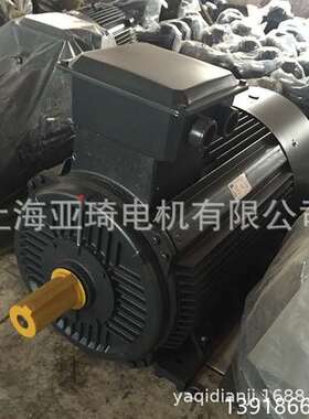 Y160L3-2-30KW 空压机专用电机 空压机专用 ip23