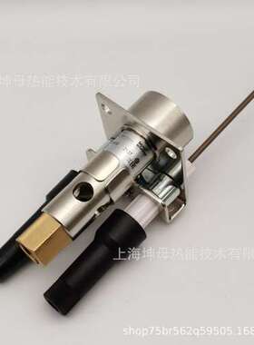 Krom/霍科德ZAIK 84228010燃气点火烧嘴