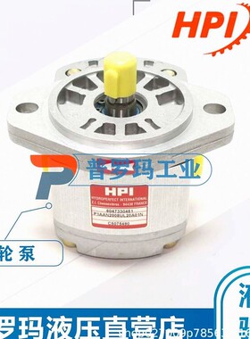 HPI泵C5082379，HPI泵P3BAN3025HL10B03N，HPI齿轮泵，HPI油泵