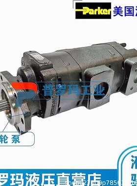 美国PARKER派克铸铁齿轮泵 AT179792 PGP315A193EVA-15 油泵头