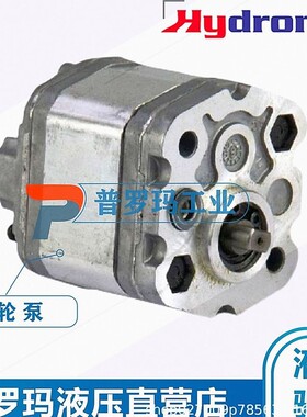 意大利Hydronit齿轮泵E60503001 E60503002 E60503004 E60503006