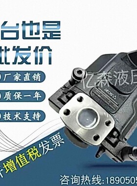 ATOS阿托斯齿轮泵PVPC-C/CH/R/L/LW-3029/4046/5073/5090-1D油泵