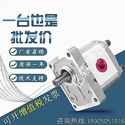 BONDIOLI齿轮泵HPLPA322/326/331/336/341/347/351/356D21E8E81S