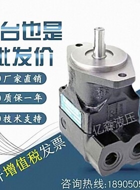 印度维京VELJAN叶片泵VT6B-B02/03/04/05/06/07/08/09-5R01D4-03