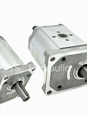 Boden博顿液压泵齿轮泵BAP2B1D28C2E3 BHP2B0 BHP2A0 BHM2B0 BHP2