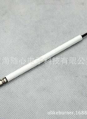 离子探针/火焰探测棒 | BTG28  Baltur/百得燃烧器专用 意大利
