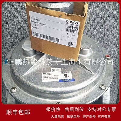 议价热卖DUNG压力调节器FRS5100调压阀膜片特惠