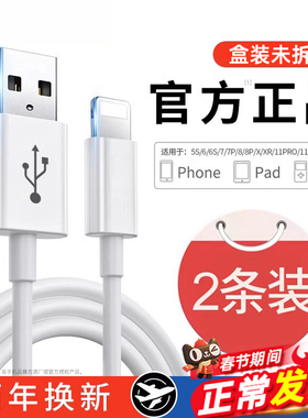 【官方正品】FIVI官方适用苹果13充电线器iPhone14数据线头12ipad手机11双typec原装PD/15平板16编织17车载长