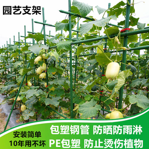 包塑钢管葡萄爬藤架百香果黄瓜架