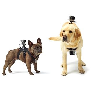 Dog Harness Chest Mount for Gopro hero 8 7 6 5 4 3+ Go pro c