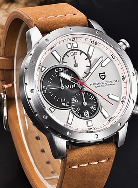 relogio masculino PAGANI DESIGN Men Watch Top Fashion Brand
