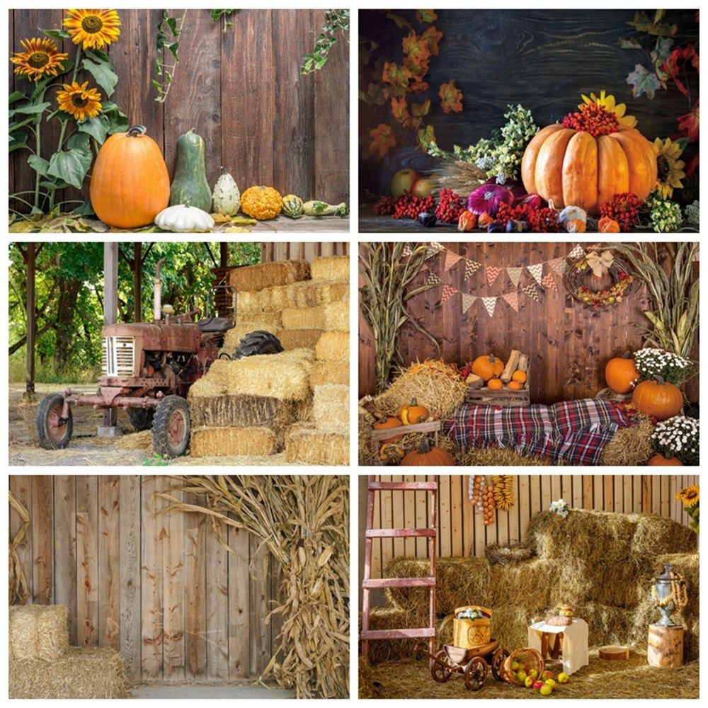 autumn farm barn hay haystack pumpkin wood floor newborn ba