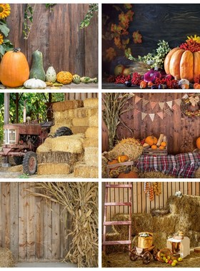 Autumn Farm Barn Hay Haystack Pumpkin Wood Floor Newborn Ba