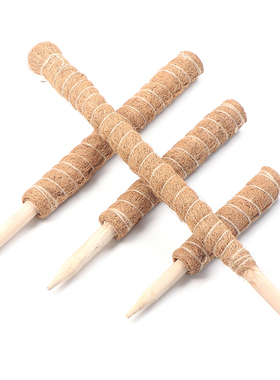 Plant Climbing Pole Coir Moss Stick Coir Moss Palm Vines St