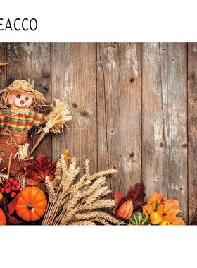 Laeacco Wooden Backdrops For Photography Planks Board Autum