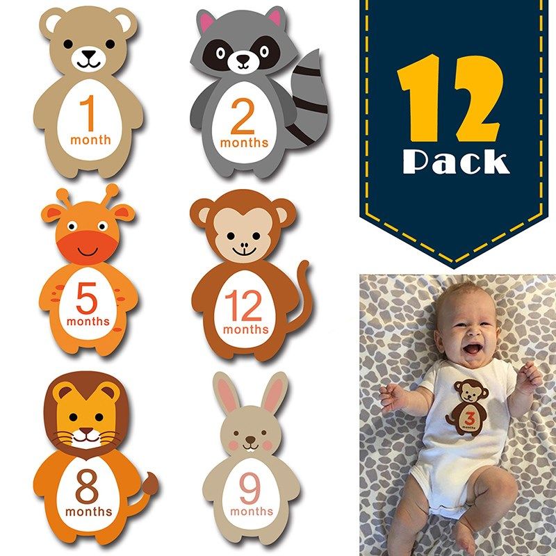1 12 months baby monthly milestone sticker baby photography