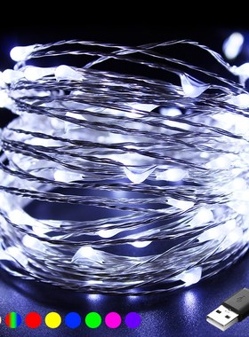 100 Led Bulbs USB LED String Lights Garlands Festoon Luces