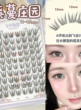 清冷猫爪狐系睫~藤蔓庄园假睫毛自然仿真A字斜飞拉长眼型清透上镜