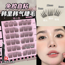 韩里韩气女团睫~韩系免胶假睫毛女自然仿真免胶水自粘cos新手单簇