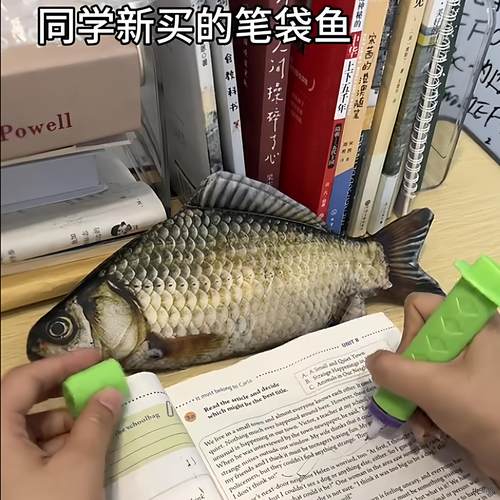 创意仿真鲫鱼笔袋抖音同