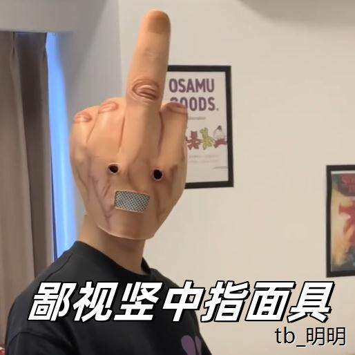 竖中指鄙视头套恶搞整盅图片