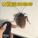 仿真遥控蟑螂玩具电动蜘蛛仿真蝎子假昆虫创意新奇特整蛊玩具