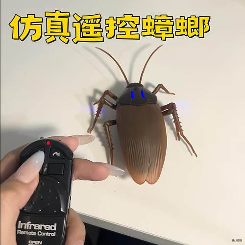 仿真遥控蟑螂玩具电动蜘