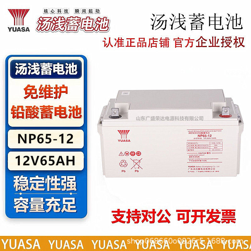 汤浅蓄电池12V65AH铅酸免维护NP65-12直流屏UPS应急EPS消防电源