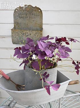 美式乡村复古小推车铁艺花盆花园阳台装饰花器手工复古风