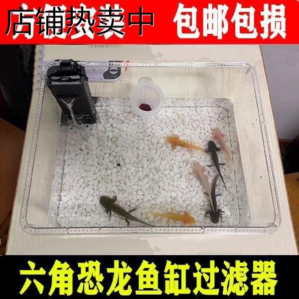 六角恐龙鱼的鱼缸六角恐龙鱼躲避屋蝾螈饲养缸水陆两栖龟缸大容量