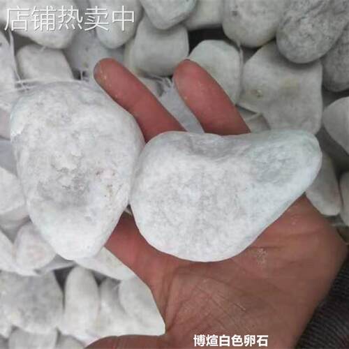 白色石子白色鹅卵石庭院铺路白色碎石子盆栽铺面用白鹅卵石 石子