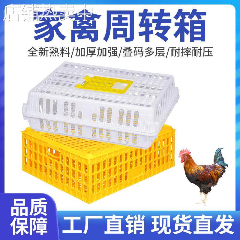 塑料鸡笼运输笼家用大号成鸡周转箱装鸡鸭鹅兔家禽笼子养殖的鸡筐,农机/农具/农膜,农用防护器具,淘宝优惠券,粉丝福利购,淘宝优惠卷