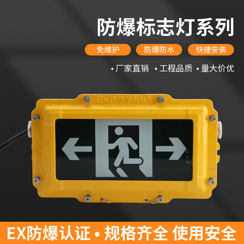 工厂销售防爆应急灯消防应急疏散标志灯BLZD-8402密封防爆标志灯