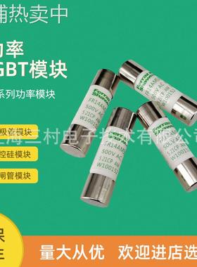 全新熔断器保险丝FR10GR69V25/F1014581 FR10GR69V30/G1014582