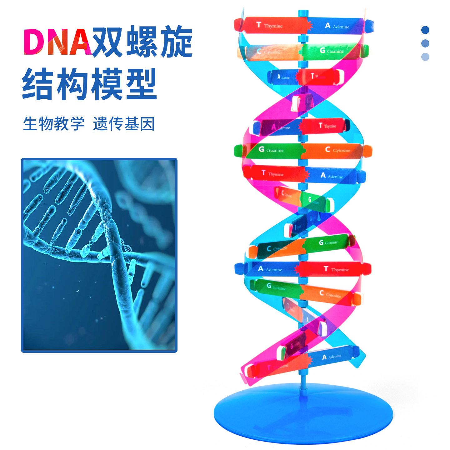 科技小制作DNA双螺旋结构模型手工diy科学实验人体基因生物材料