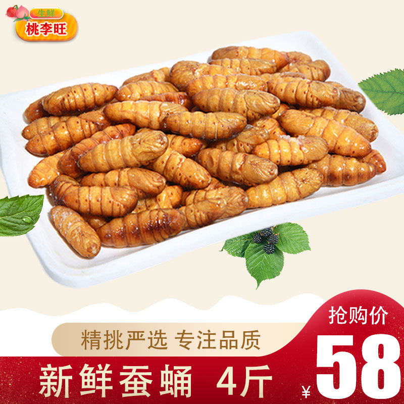 桃李旺新鲜蚕蛹鲜活速冻4斤