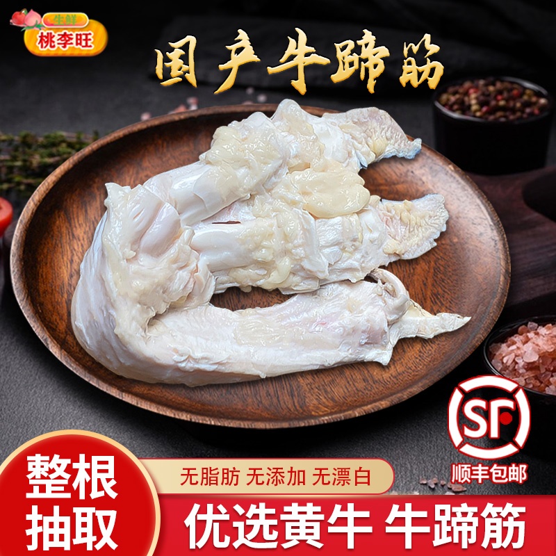 新鲜牛蹄筋现杀脚筋生牛筋牛主筋牛大筋生鲜官方商批用整根黄牛筋