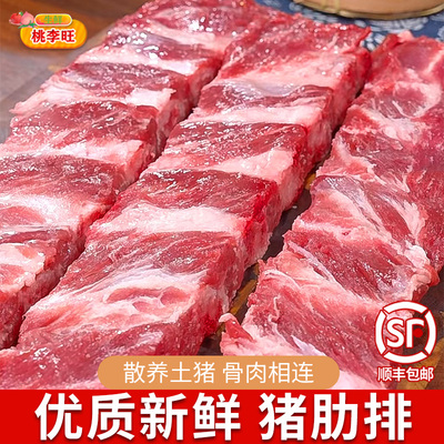 10斤新鲜猪肋排切块猪排骨