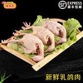 3只装 鸽子新鲜散养乳鸽正牌土鸽子乳鸽子肉炖煲汤肉滋补活体现杀