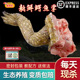 鳄鱼掌肉 鲜活宰杀3斤鳄鱼腿活杀整只暹罗鳄鳄鱼生鲜肉新鲜鳄鱼爪