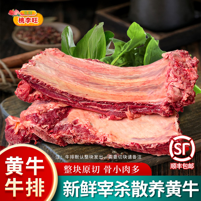 新鲜牛排骨黄膘牛排骨新鲜带肉