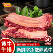 新鲜牛排骨 原切整块黄牛牛肋排牛仔骨牛肋条 黄膘牛排骨新鲜带肉