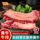 新鲜牛排骨 黄膘牛排骨新鲜带肉 原切整块黄牛牛肋排牛仔骨牛肋条