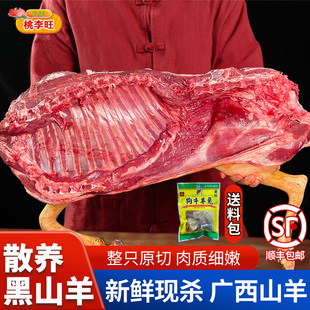 广西黑山羊新鲜现杀整只羊带皮羊排烧烤带皮羊腿半只羊正宗山羊排