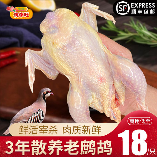 新鲜老鹧鸪正宗鹧鸪生鲜肉