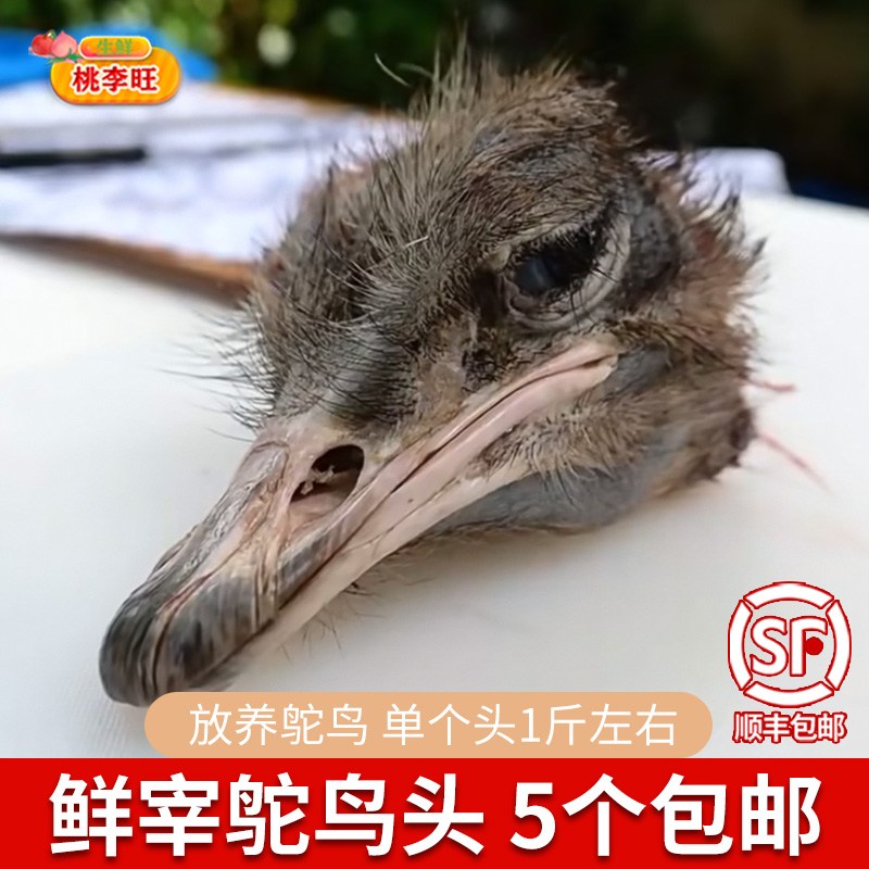 鸵鸟头肉鸵鸟头肉1个5个包邮