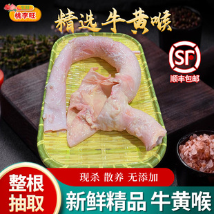 新鲜牛黄喉 生牛心管国产牛黄喉重庆火锅店商用食材烧烤配菜牛杂