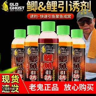 鲫鱼引诱剂鲤鱼诱食剂老鬼鱼饵罗非鲢鳙野钓黑坑钓鱼专用饵料小药