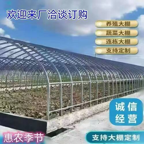 蔬菜果树大棚全整套猪牛羊棚圈温室圆管椭圆管养殖钢架鸡鸭鹅棚