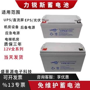 GFM EPS 100 UPS 应急备电 12V100AH65AH38AH24AH 力锐斯蓄电池6
